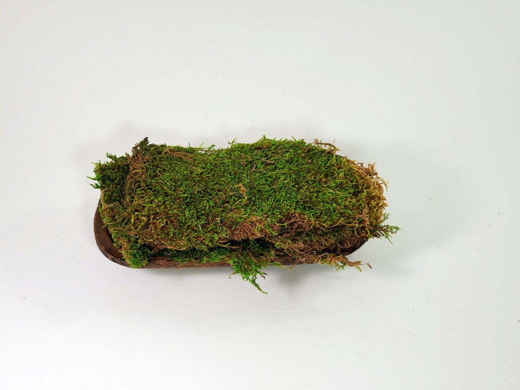 Sheet Moss - Natural Dried